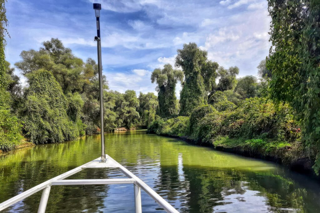 Barcă pe râu înconjurat de verdeață luxuriantă