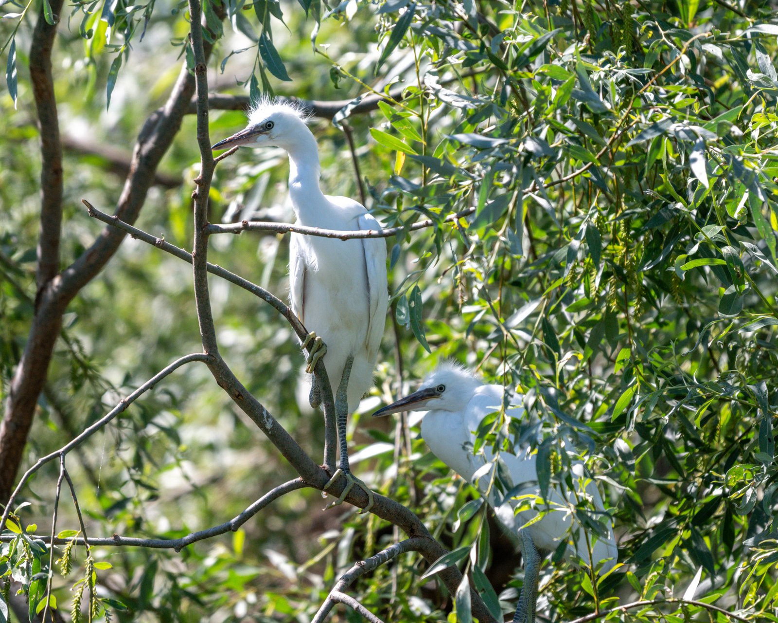 poza excursie delta dunarii