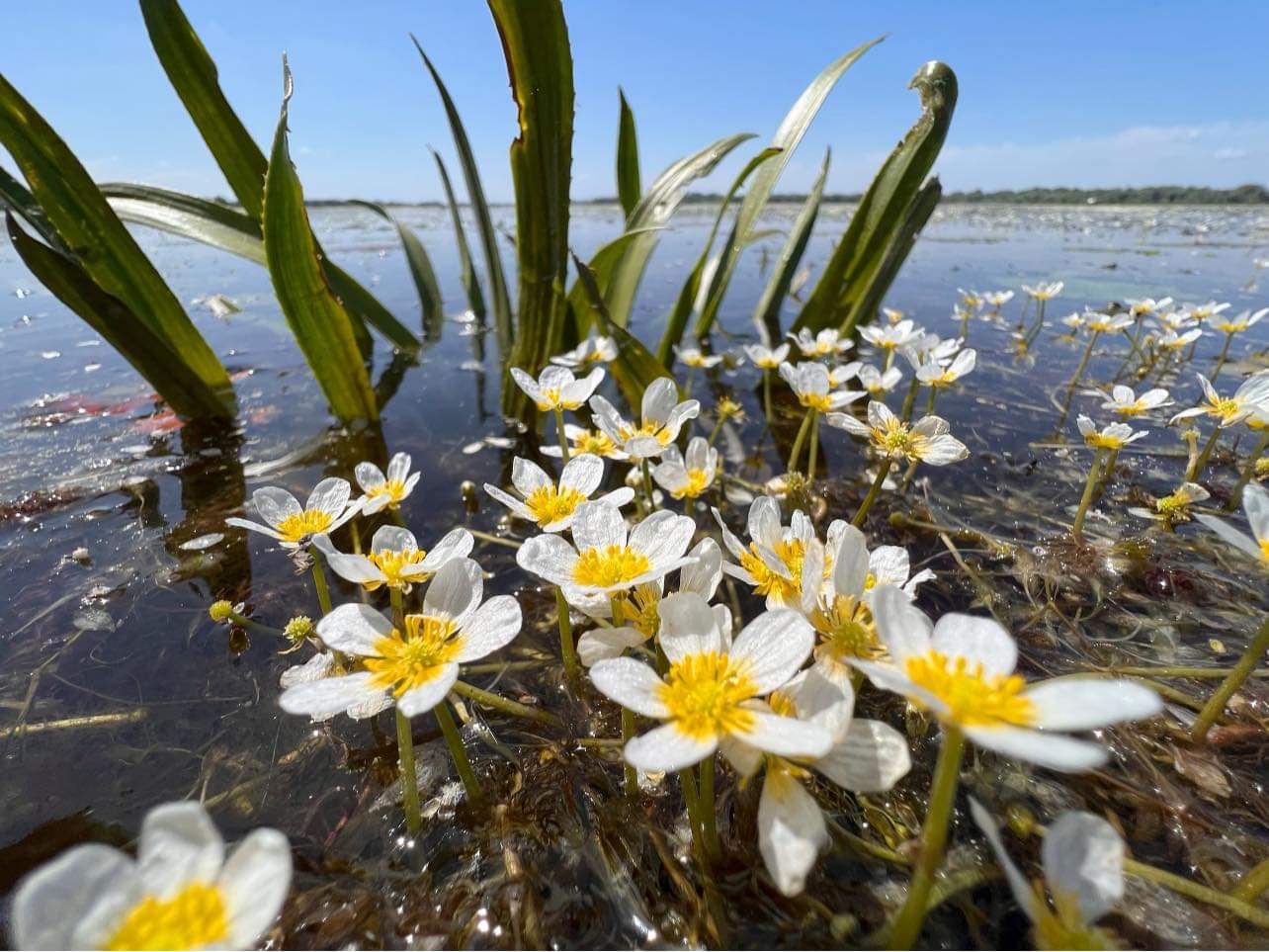 mila23 vaporas mar 10