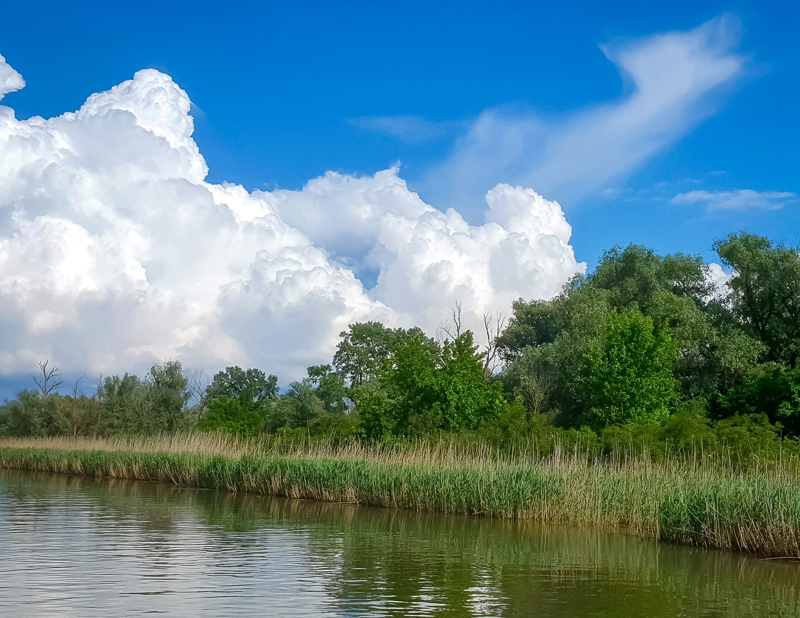 poza excursie delta dunarii 10