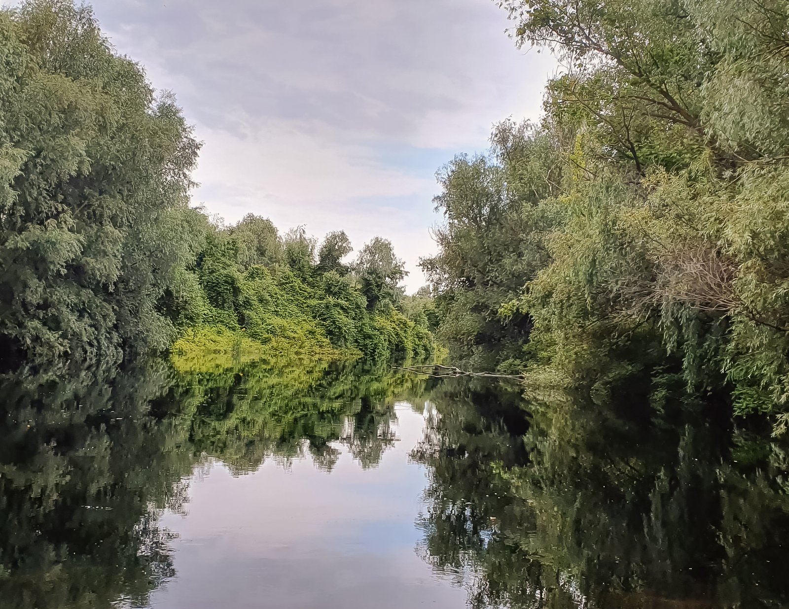 poza excursie delta dunarii 12