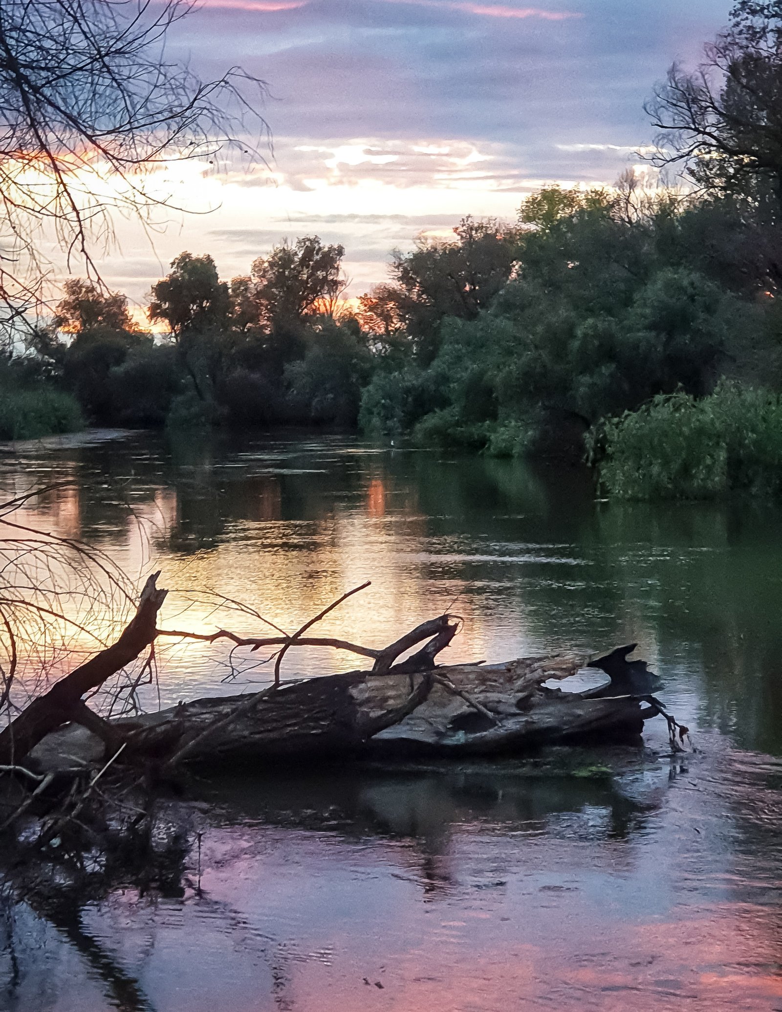 poza excursie delta dunarii 15