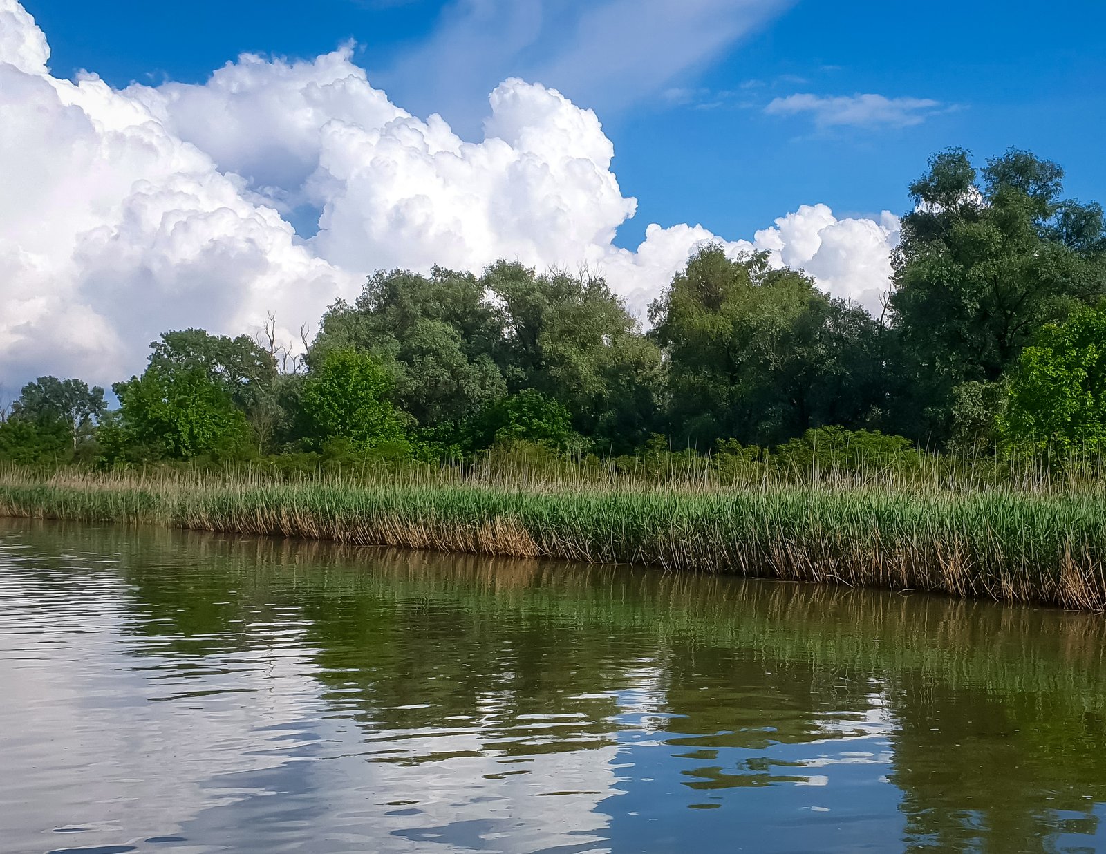 poza excursie delta dunarii 9