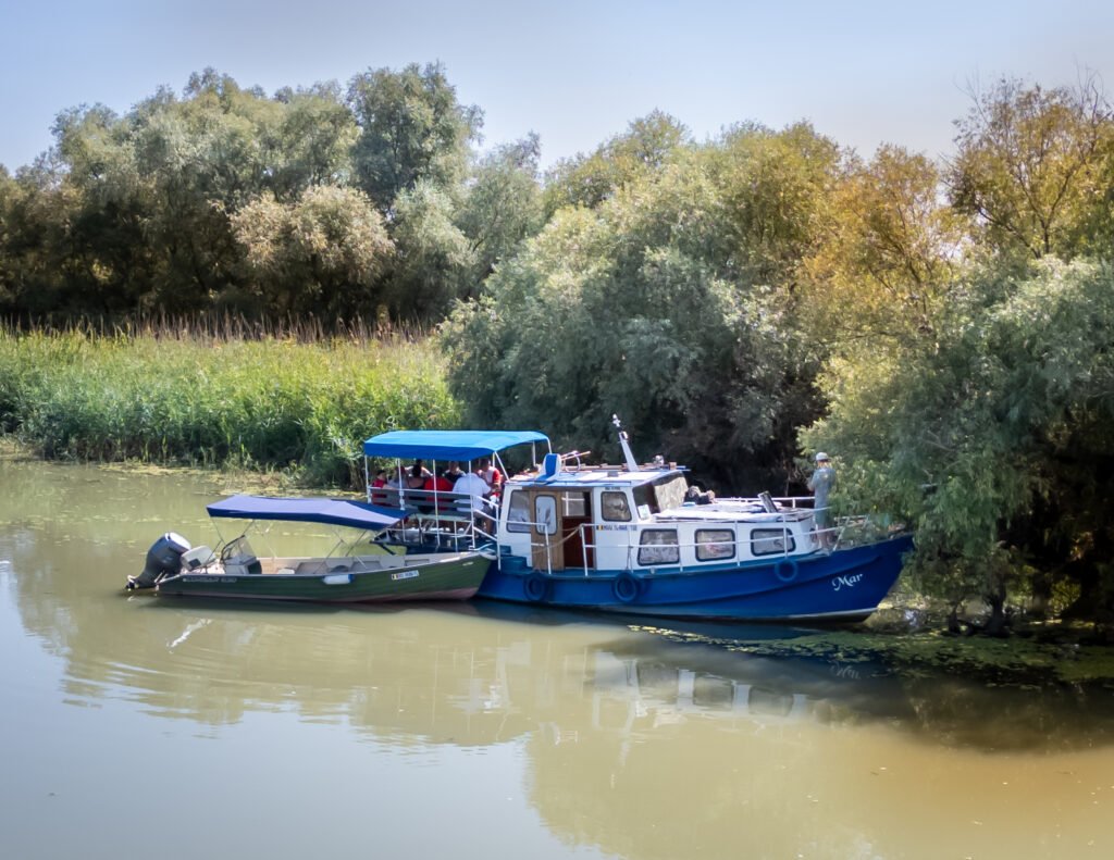 vaporasul mar in delta dunarii 3