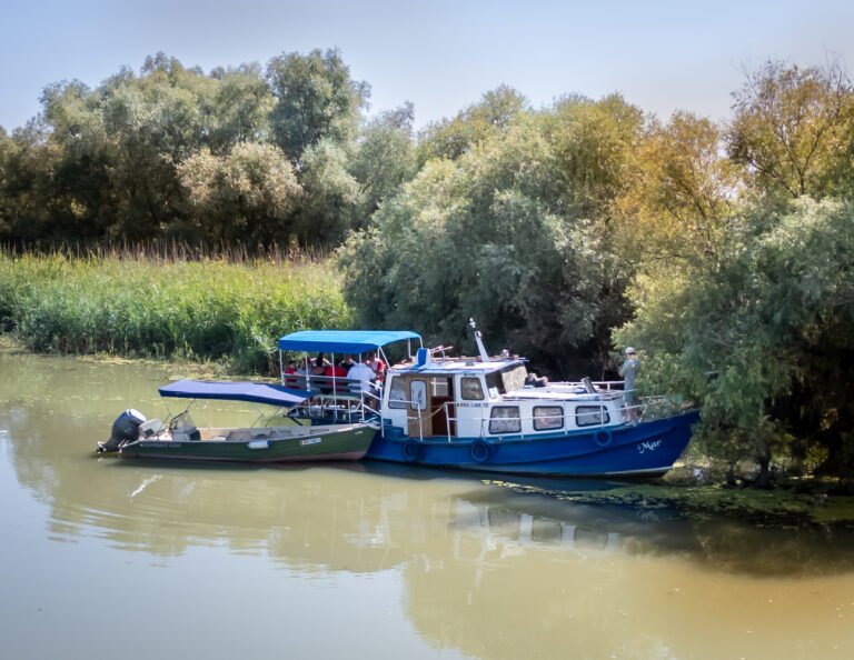 vaporasul mar in delta dunarii 3